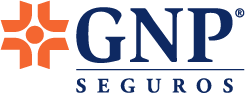 GNP